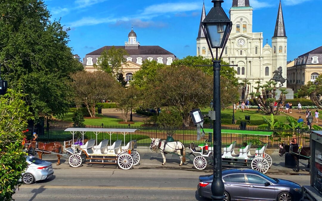 Research in New Orleans